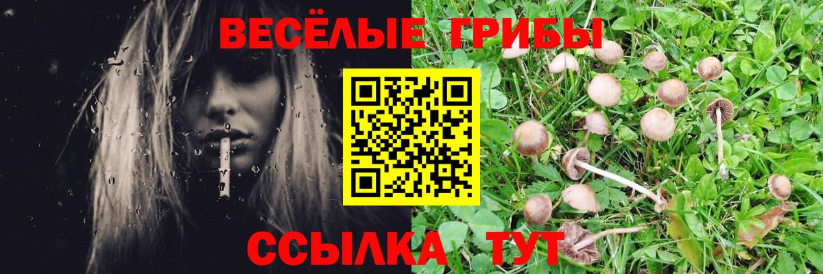 Калуга  Галлюциногенные грибы мицелий  что такое   Вход с VPN 